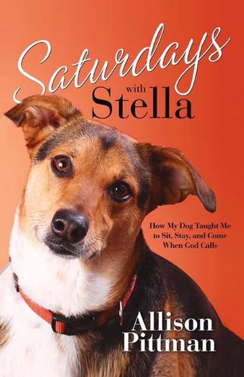 Saturdays with Stella by Allison Pittman - ISBN: 9781601421395