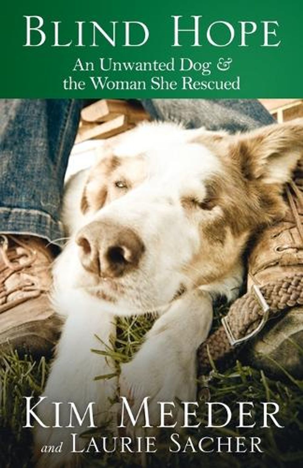 Blind Hope by Kim Meeder - ISBN: 9781601422804