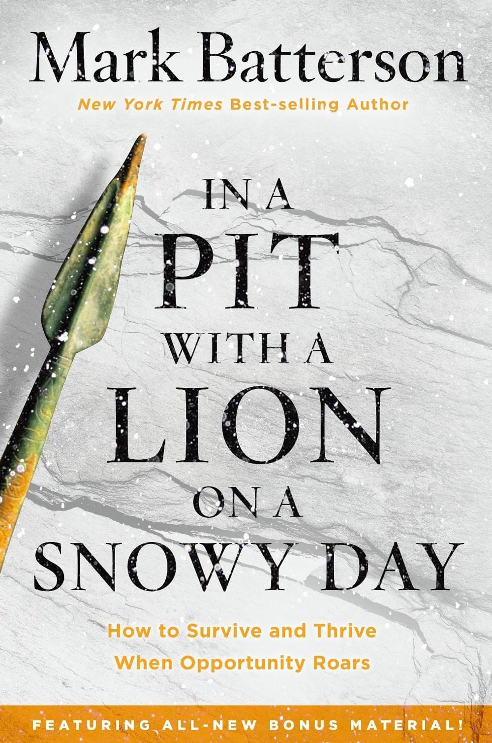 In a Pit with a Lion on a Snowy Day by Mark Batterson - ISBN: 9781601429292