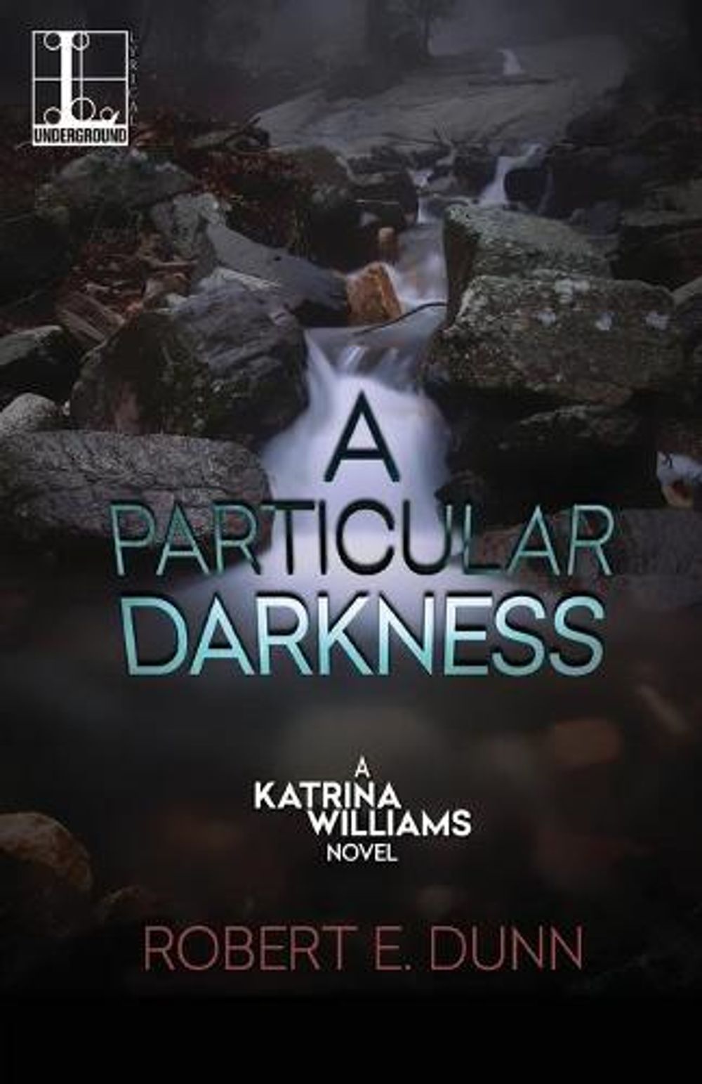 A Particular Darkness, A by ROBERT E. DUNN - ISBN: 9781601838100