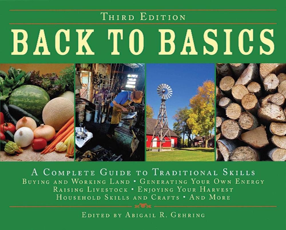 Back to Basics by Abigail Gehring - ISBN: 9781602392335