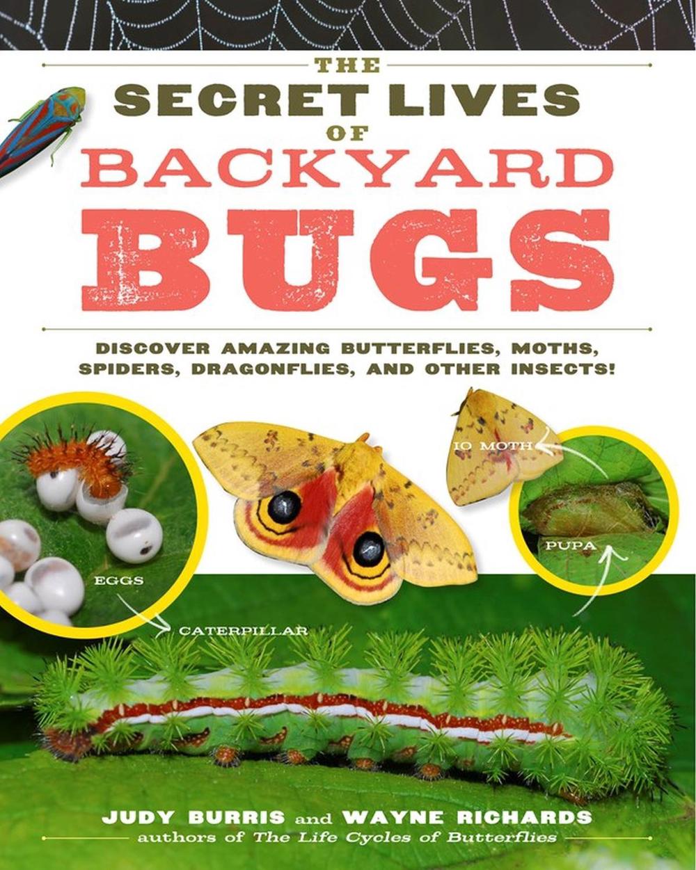 The Secret Lives of Backyard Bugs by Judy Burris - ISBN: 9781603425636