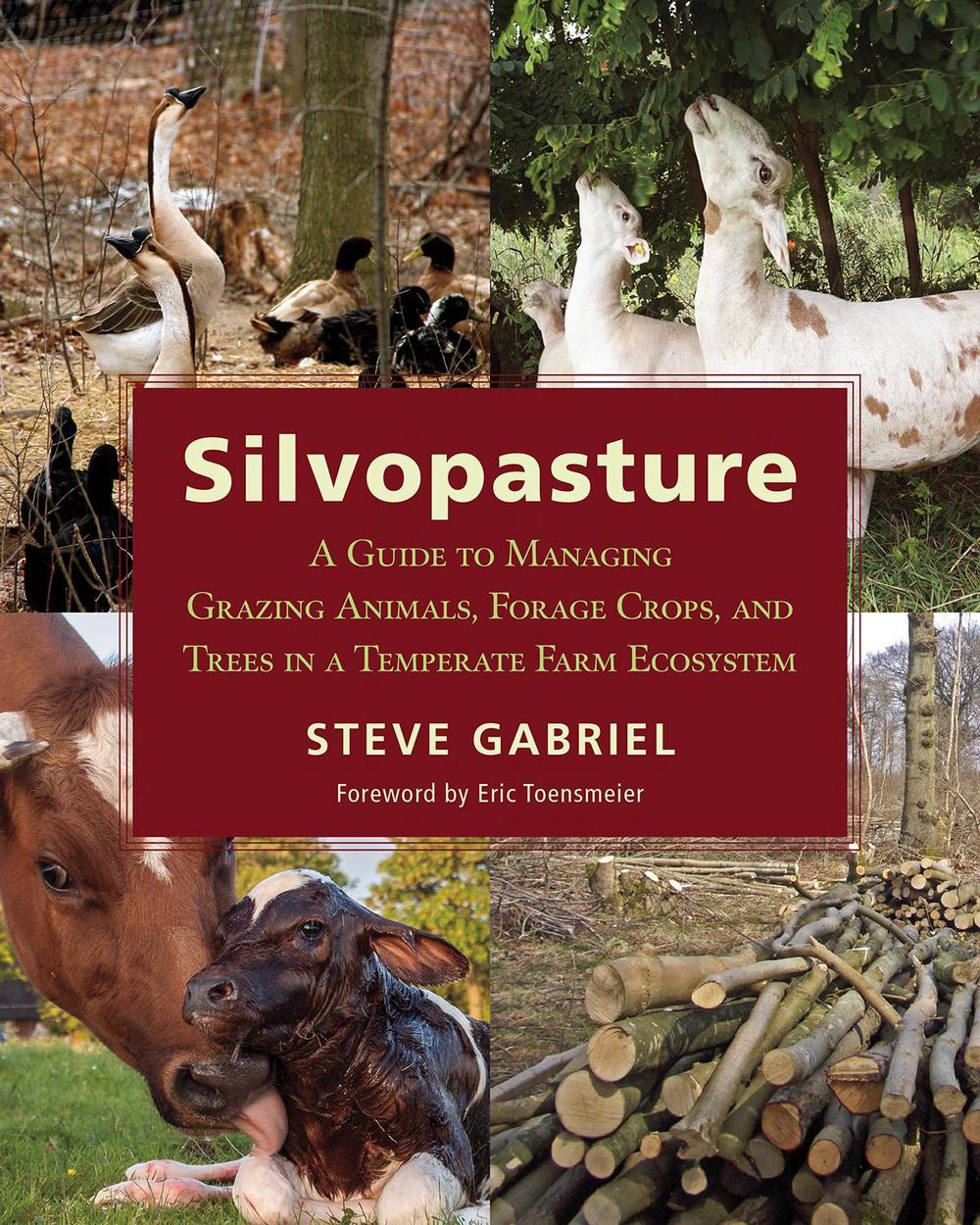 Silvopasture by Steve Gabriel - ISBN: 9781603587310