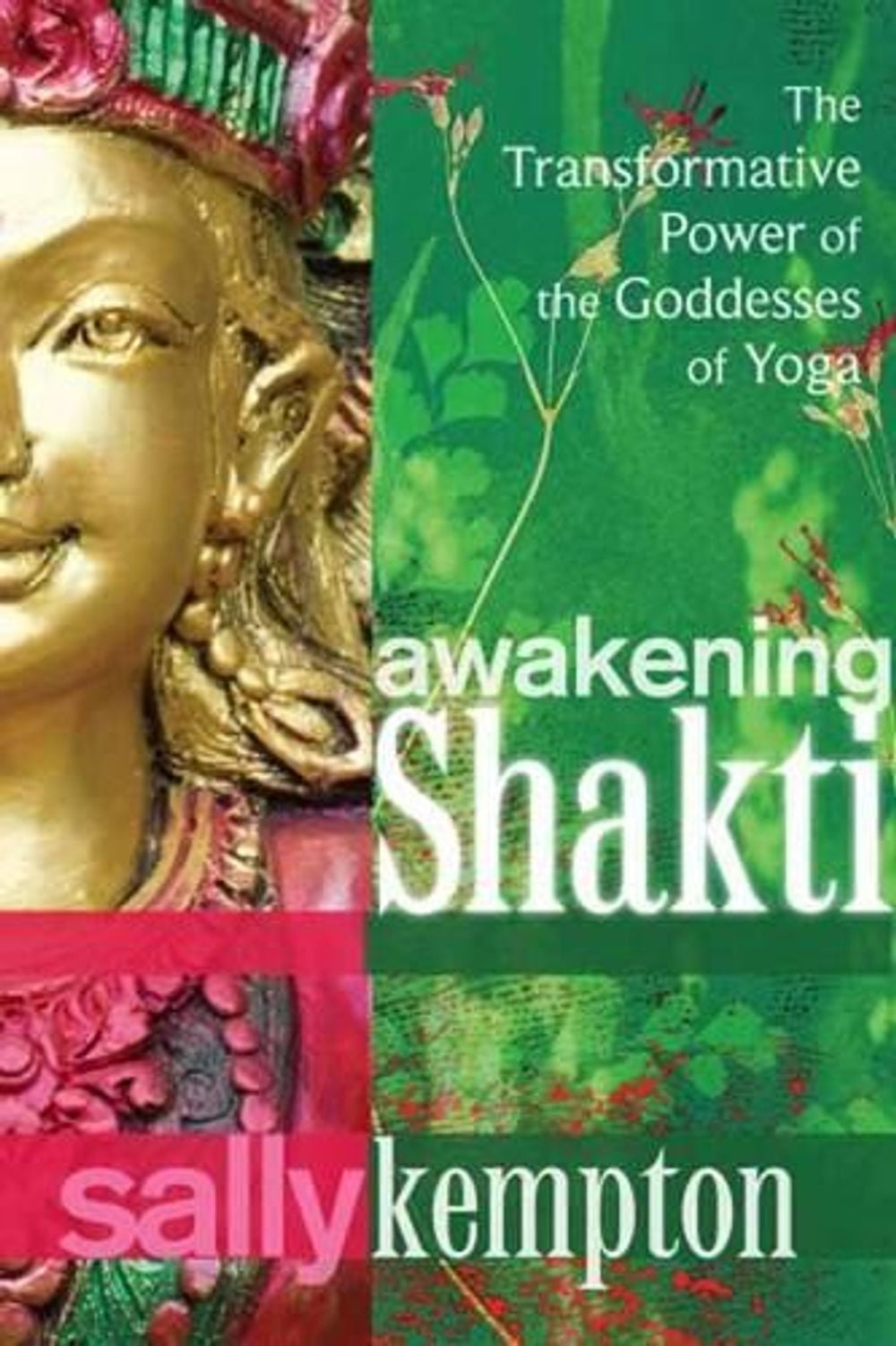 Awakening Shakti by Sally Kempton - ISBN: 9781604078916