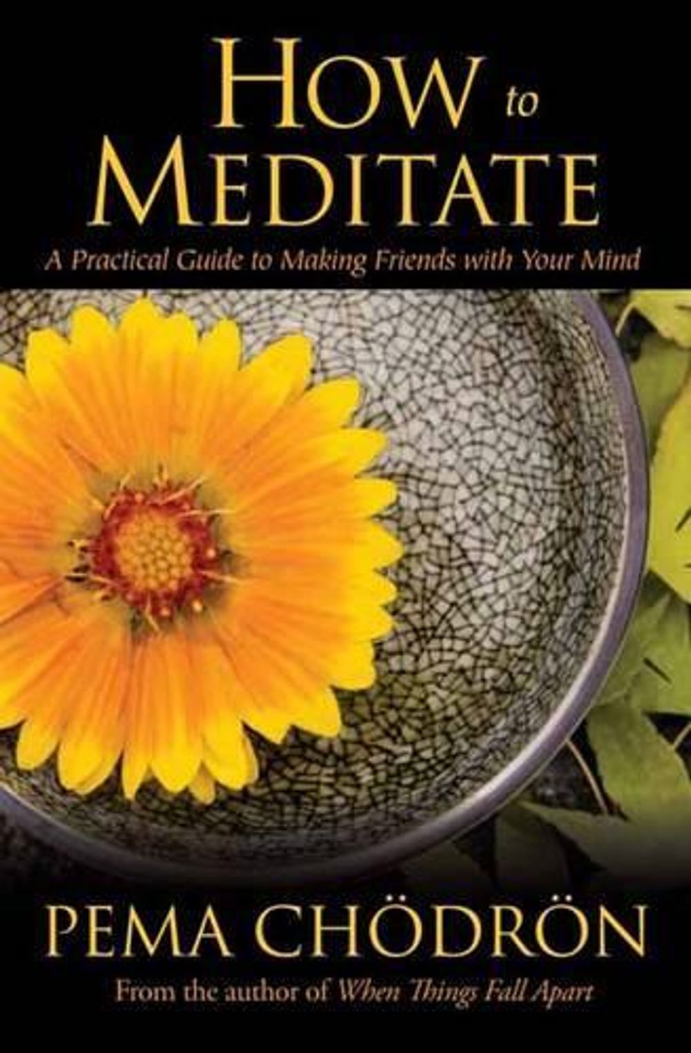 How to Meditate by Pema Chödrön - ISBN: 9781604079333