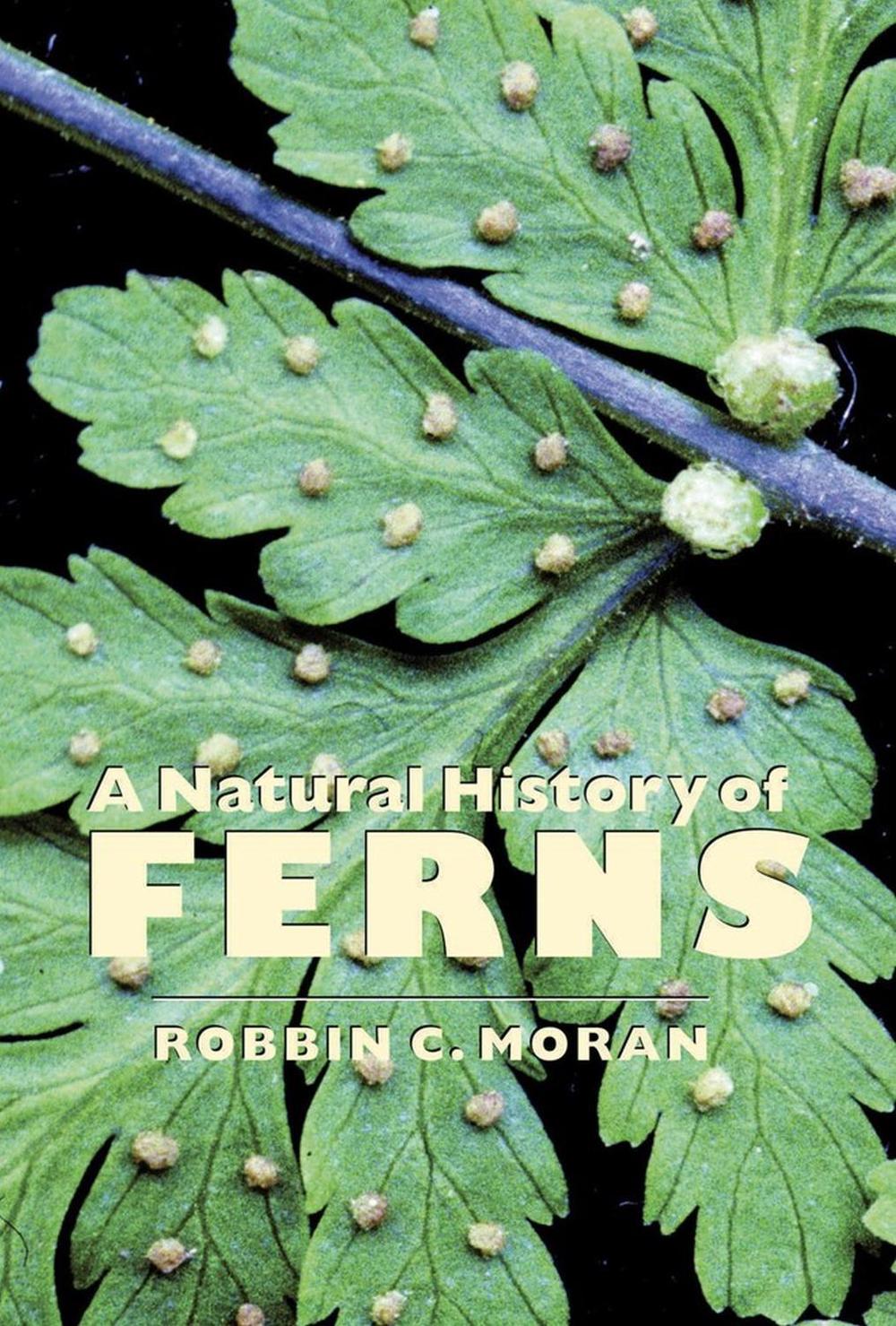 A Natural History of Ferns by Robbin C. Moran - ISBN: 9781604690620