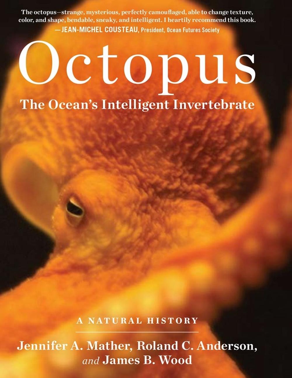 Octopus, 9781604690675