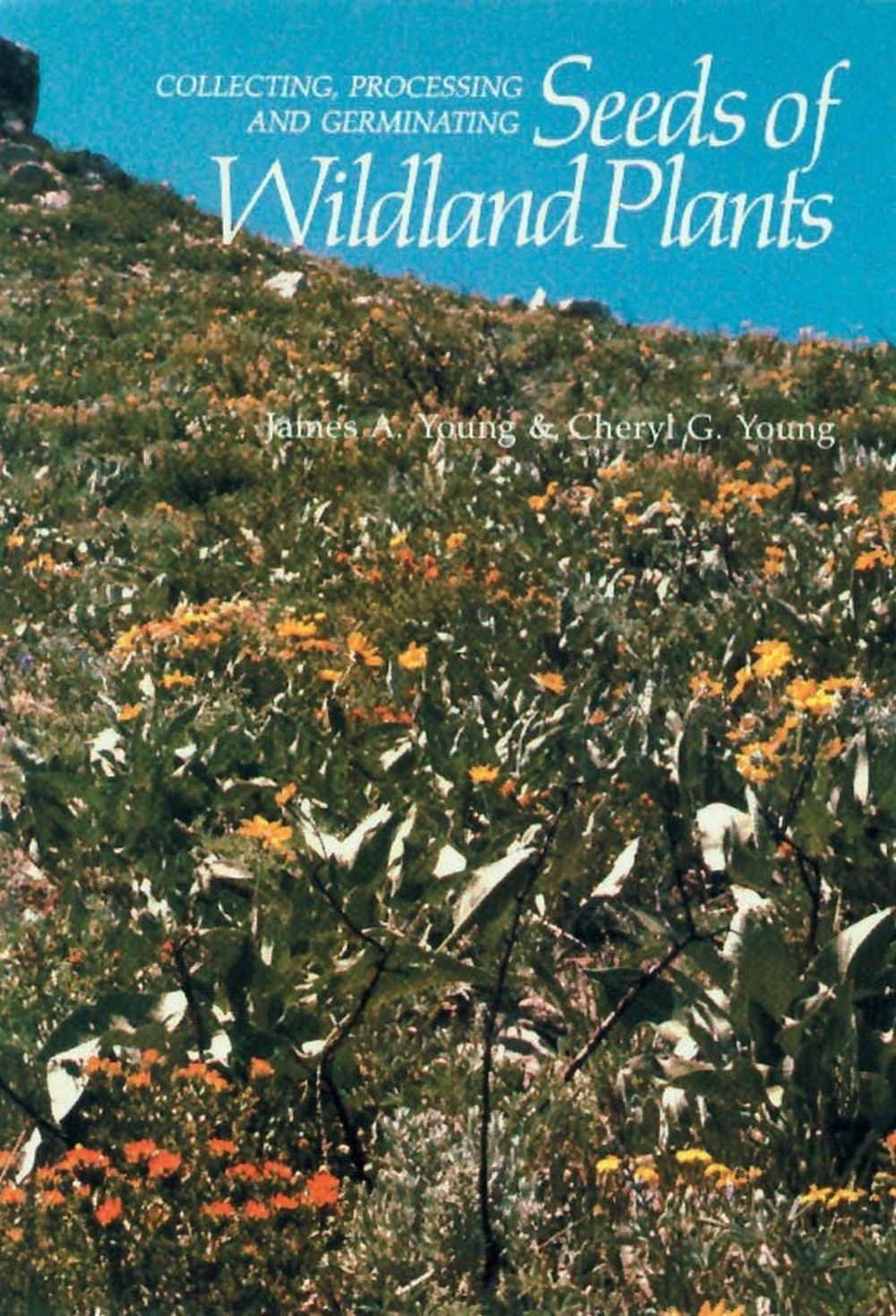Collecting, Processing and Germinating Seeds of Wildland Plants by Cheryl G. Young - ISBN: 9781604690736