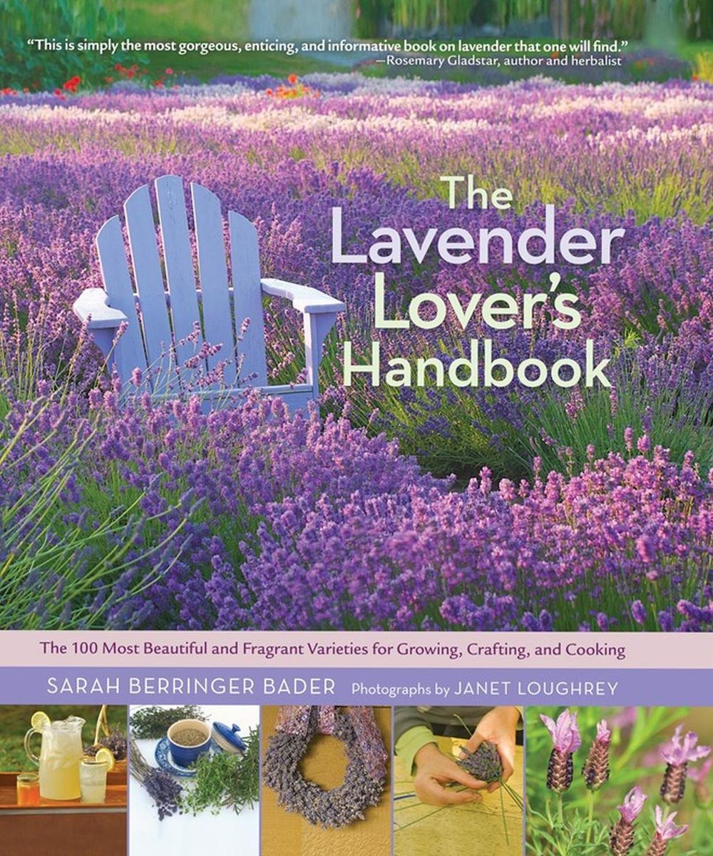 The Lavender Lover's Handbook by Sarah Berringer Bader - ISBN: 9781604692211