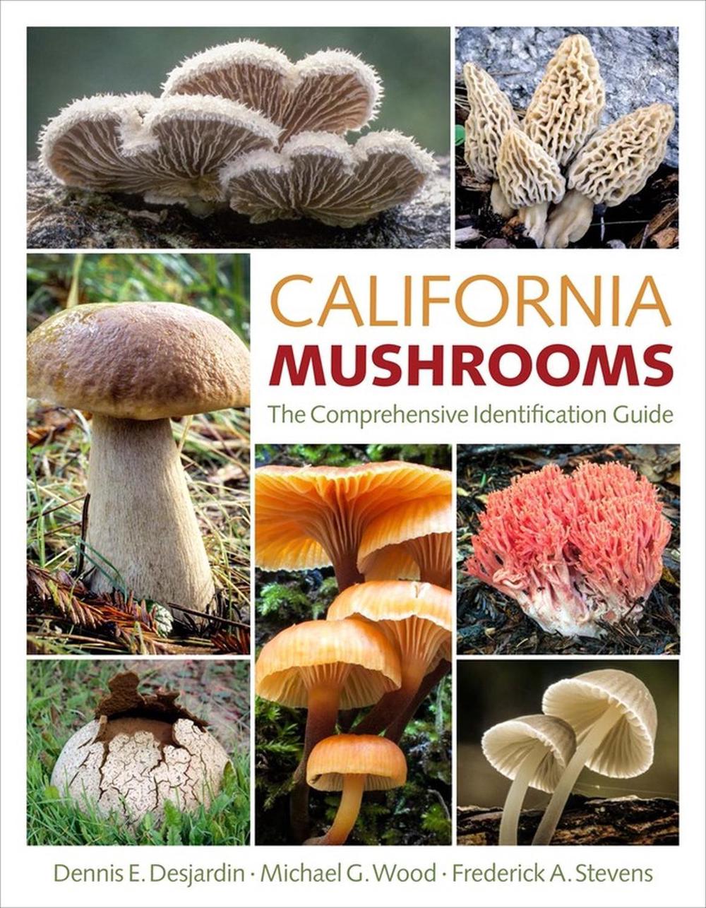 California Mushrooms by Dennis E. Desjardin - ISBN: 9781604693539