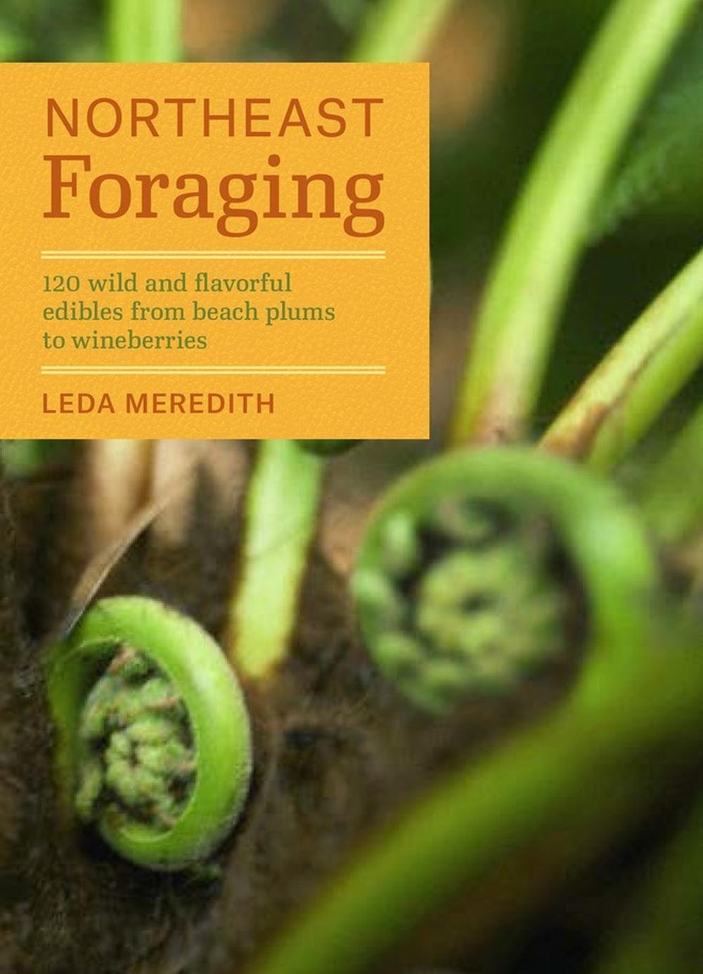 Northeast Foraging by Leda Meredith - ISBN: 9781604694178