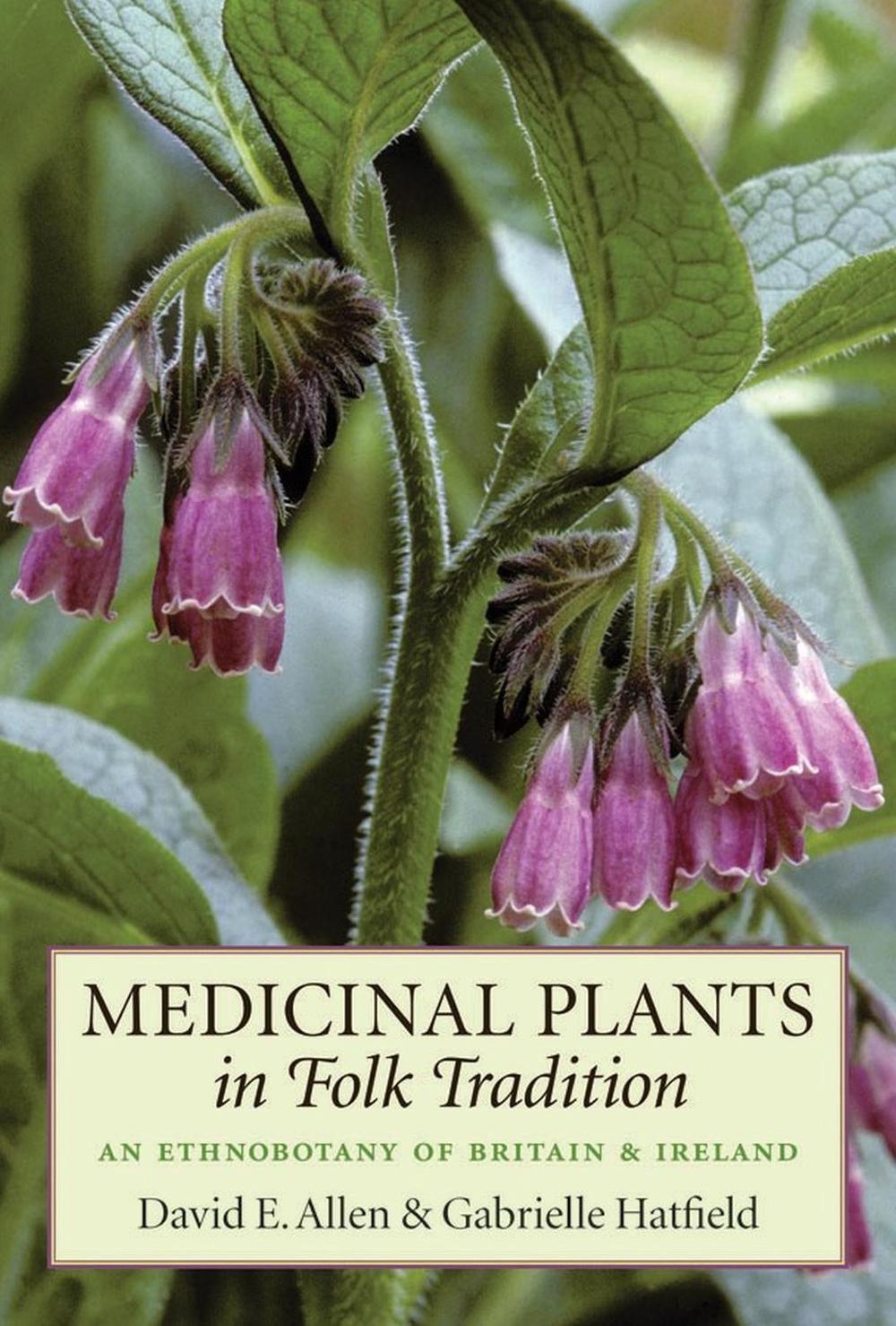 Medicinal Plants in Folk Tradition by Gabrielle Hatfield - ISBN: 9781604694291