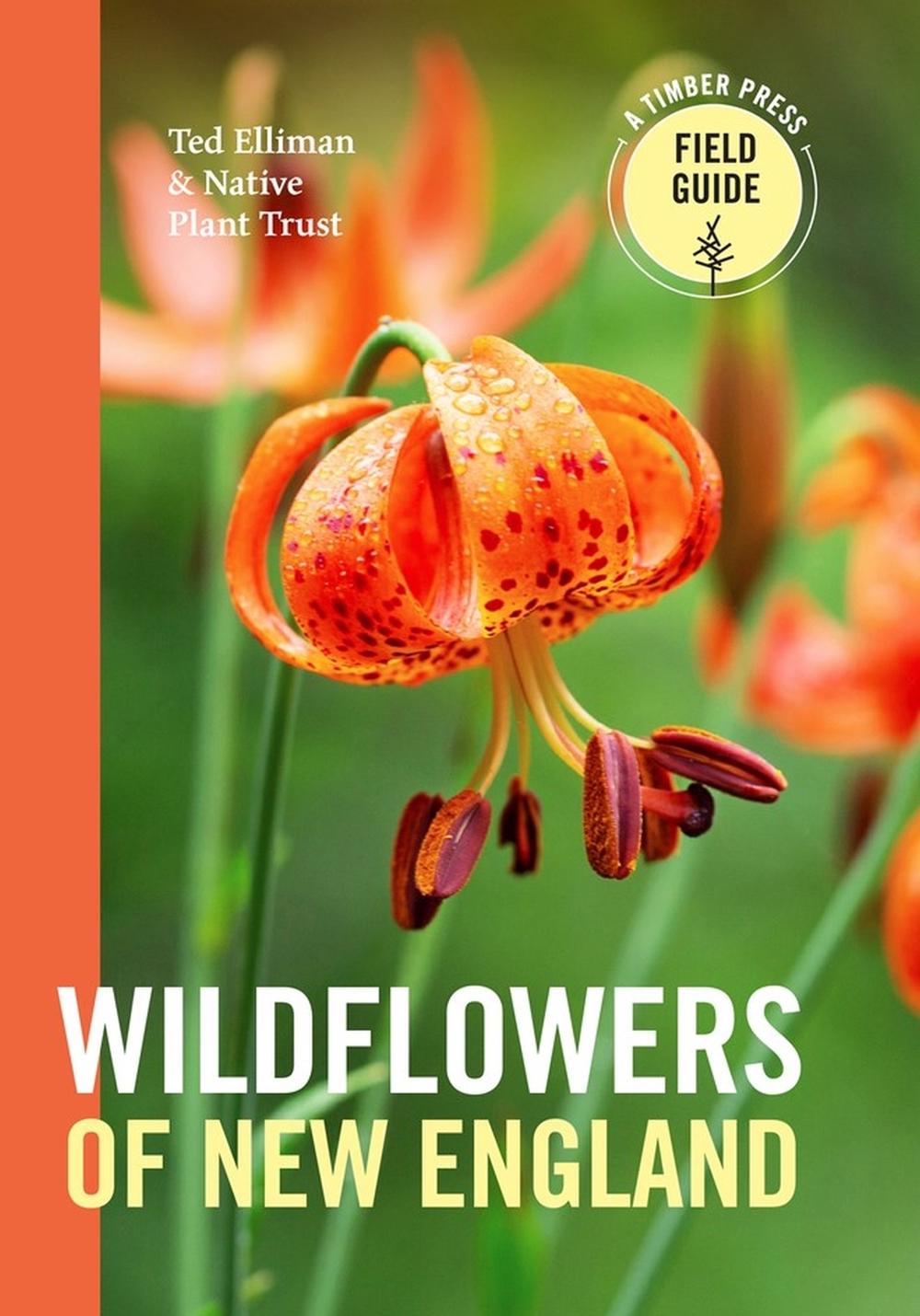 Wildflowers of New England by Ted Elliman - ISBN: 9781604694642