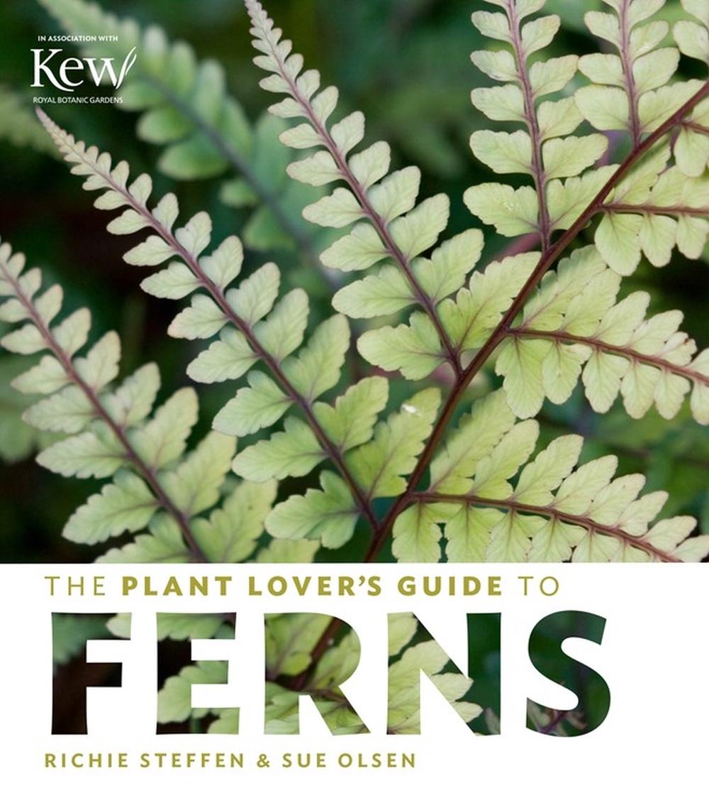 The Plant Lover's Guide to Ferns by Sue Olsen - ISBN: 9781604694741