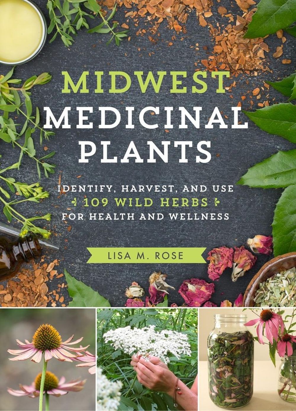 Midwest Medicinal Plants by Lisa M. Rose - ISBN: 9781604696554