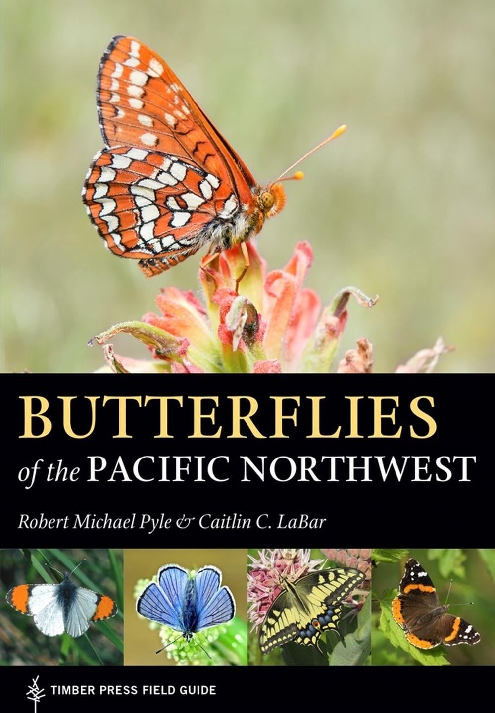 Butterflies of the Pacific Northwest by Robert Michael Pyle - ISBN: 9781604696936