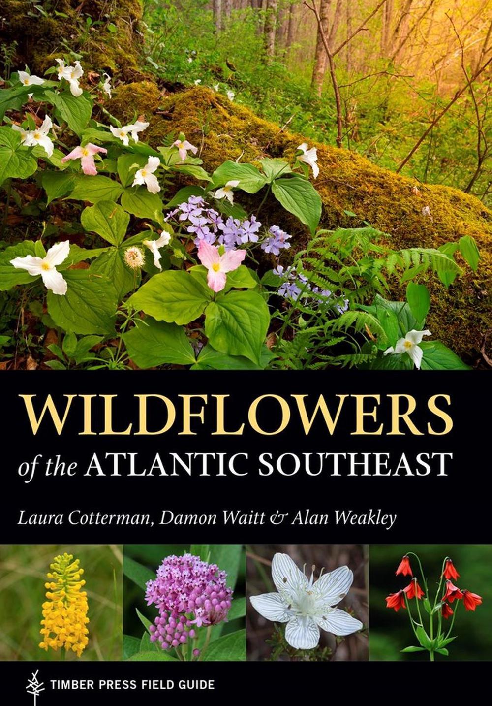Wildflowers of the Atlantic Southeast, 9781604697605