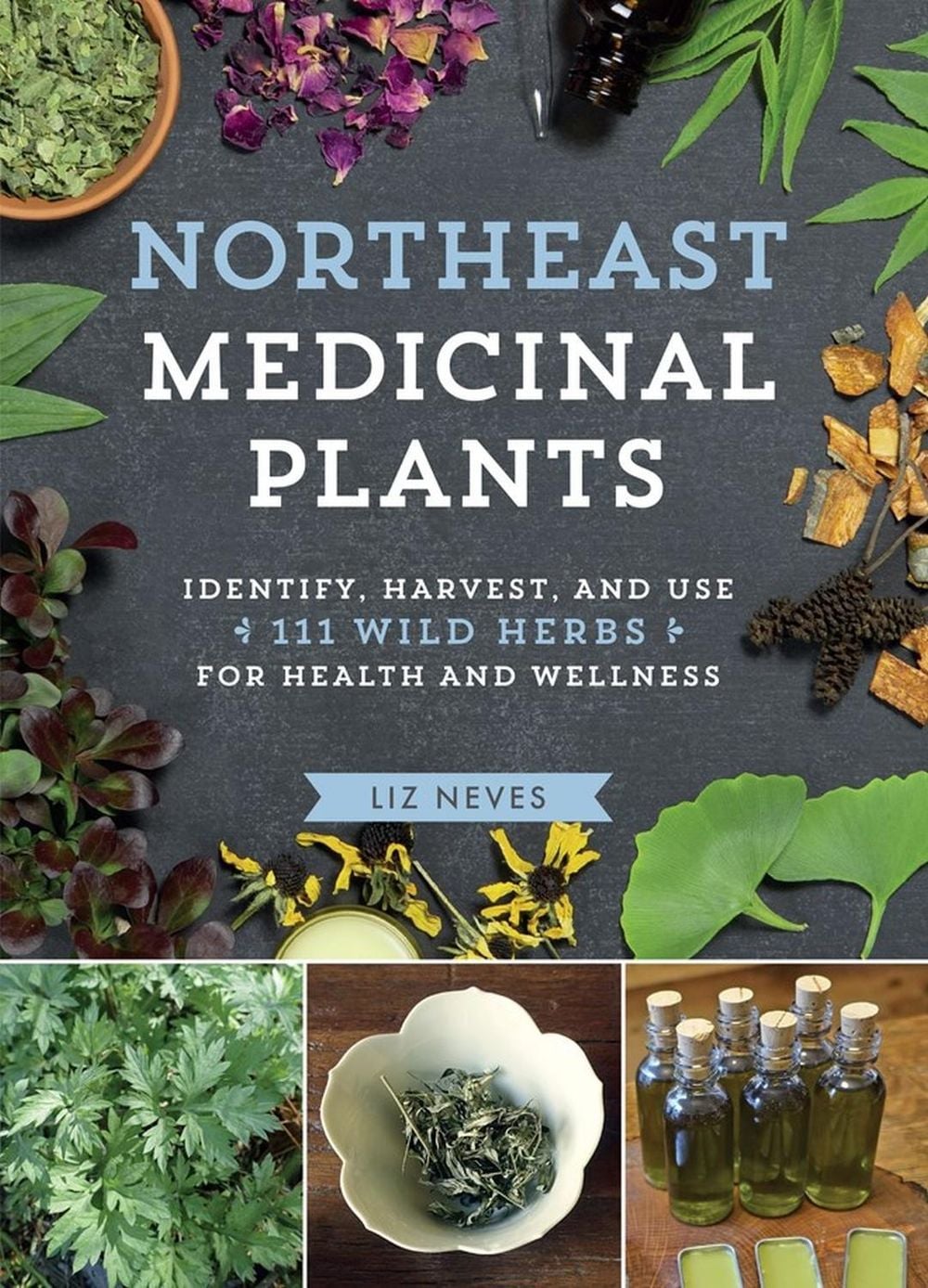 Northeast Medicinal Plants by Liz Neves - ISBN: 9781604699135