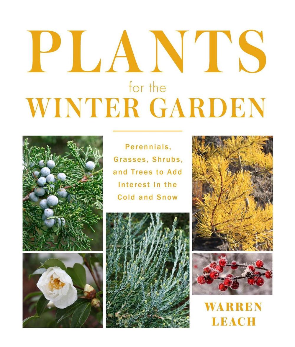Plants for the Winter Garden by Warren Leach - ISBN: 9781604699265