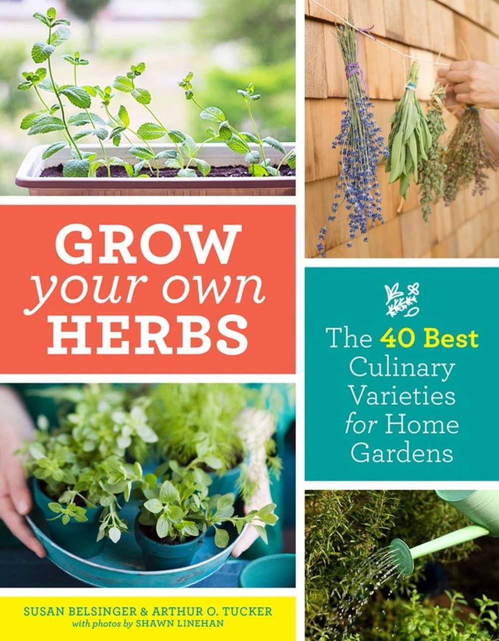 Grow Your Own Herbs by Susan Belsinger - ISBN: 9781604699296