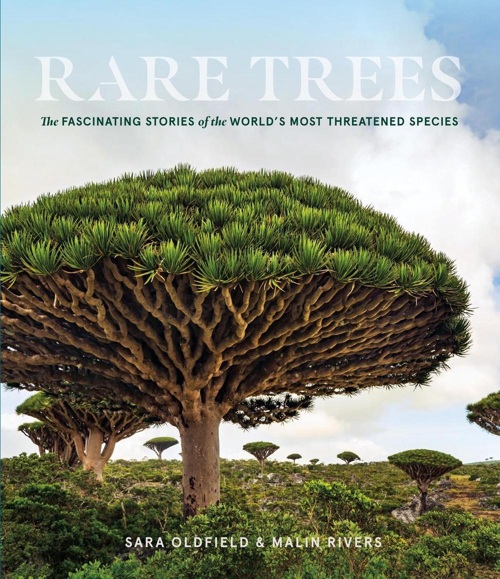Rare Trees by Sara Oldfield - ISBN: 9781604699524