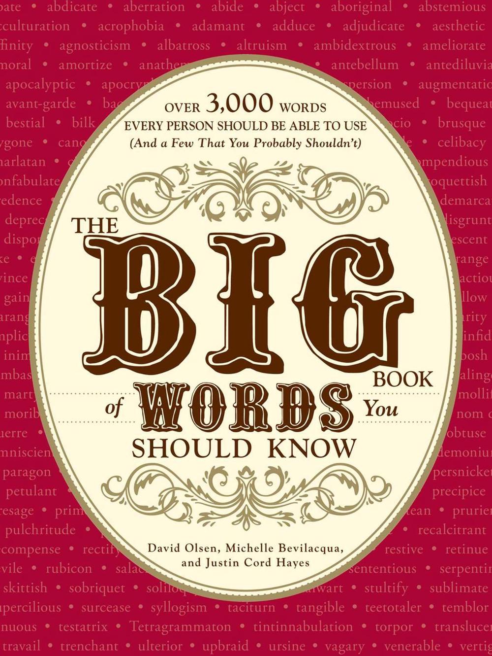The Big Book of Words You Should Know by Michelle Bevilacqua - ISBN: 9781605501390