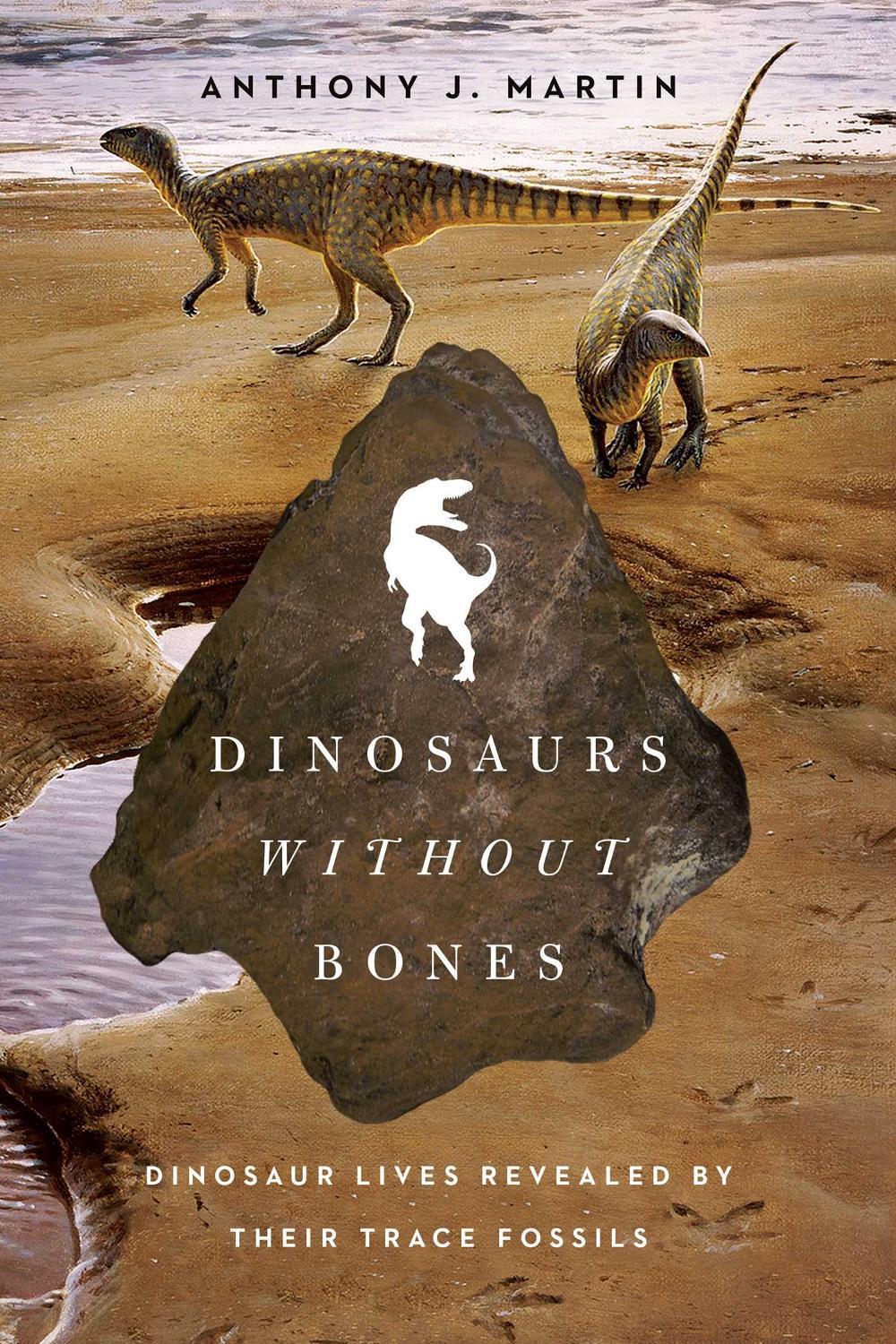 Dinosaurs Without Bones by Anthony J. Martin - ISBN: 9781605987033