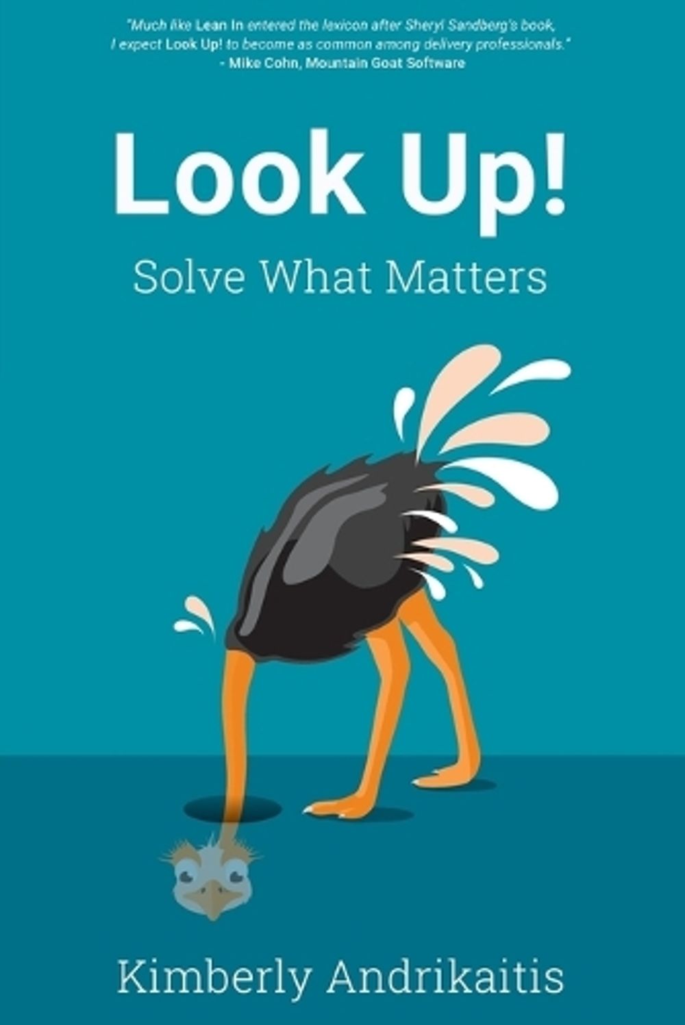 Look Up! by Kimberly Andrikaitis - ISBN: 9781606495667