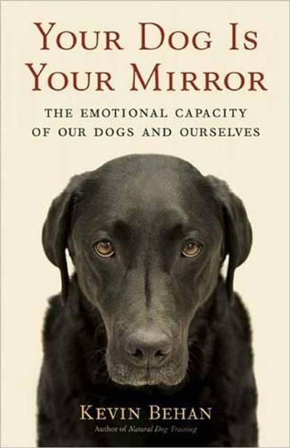 Your Dog is Your Mirror by Kevin Behan - ISBN: 9781608680887