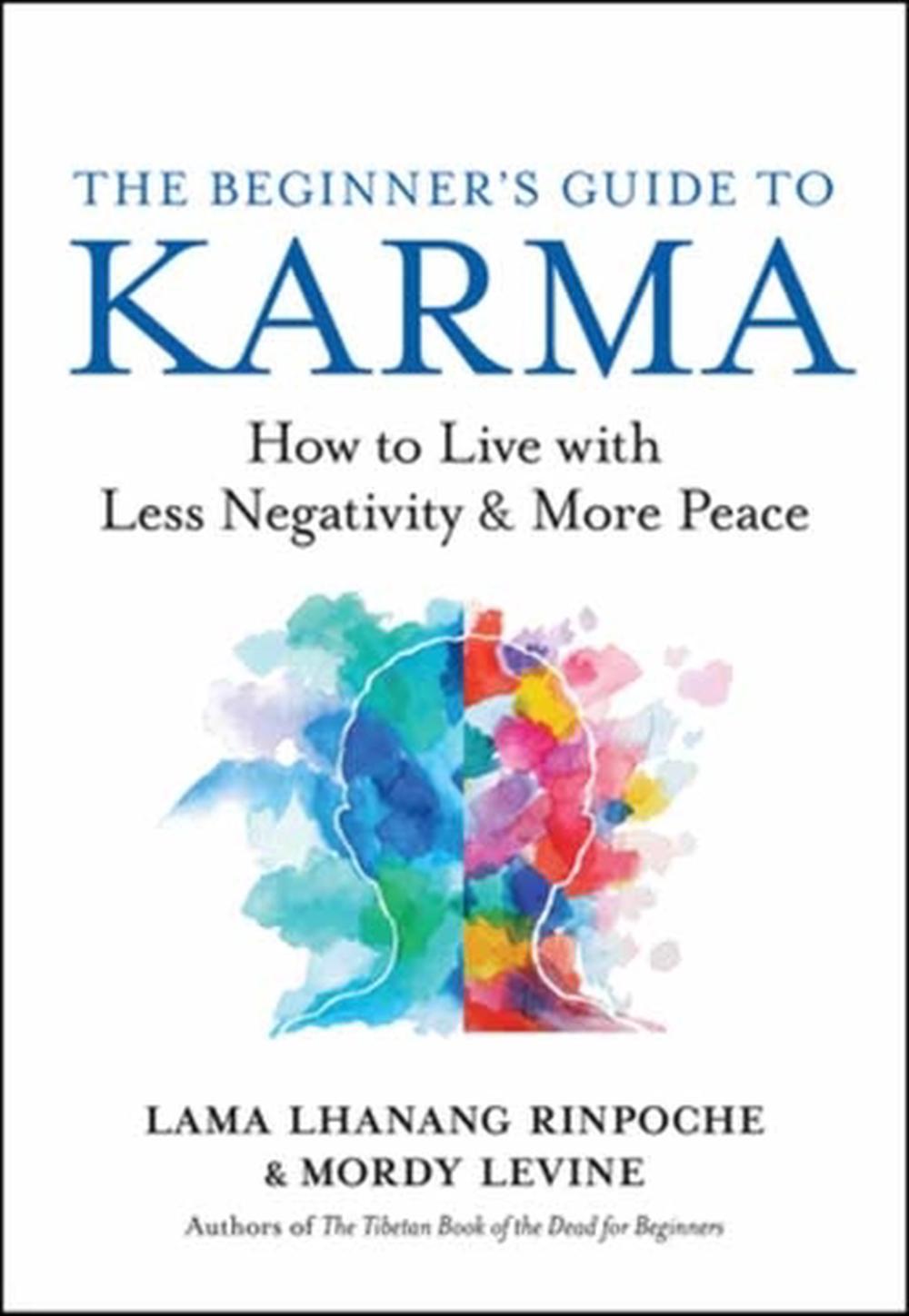 The Beginner’s Guide to Karma, 9781608688722