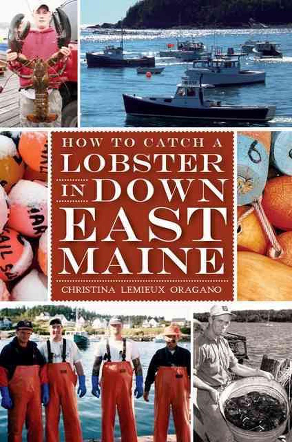 How to Catch a Lobster in Down East Maine, 9781609496029