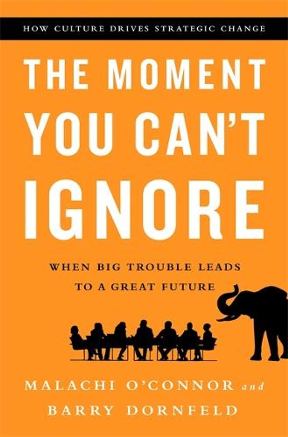 The Moment You Can't Ignore by Barry Dornfeld - ISBN: 9781610394659