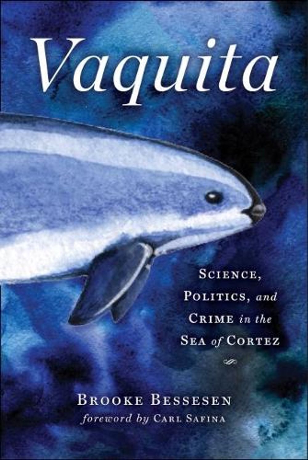 Vaquita, 2nd Edition by Brooke Bessesen - ISBN: 9781610919319