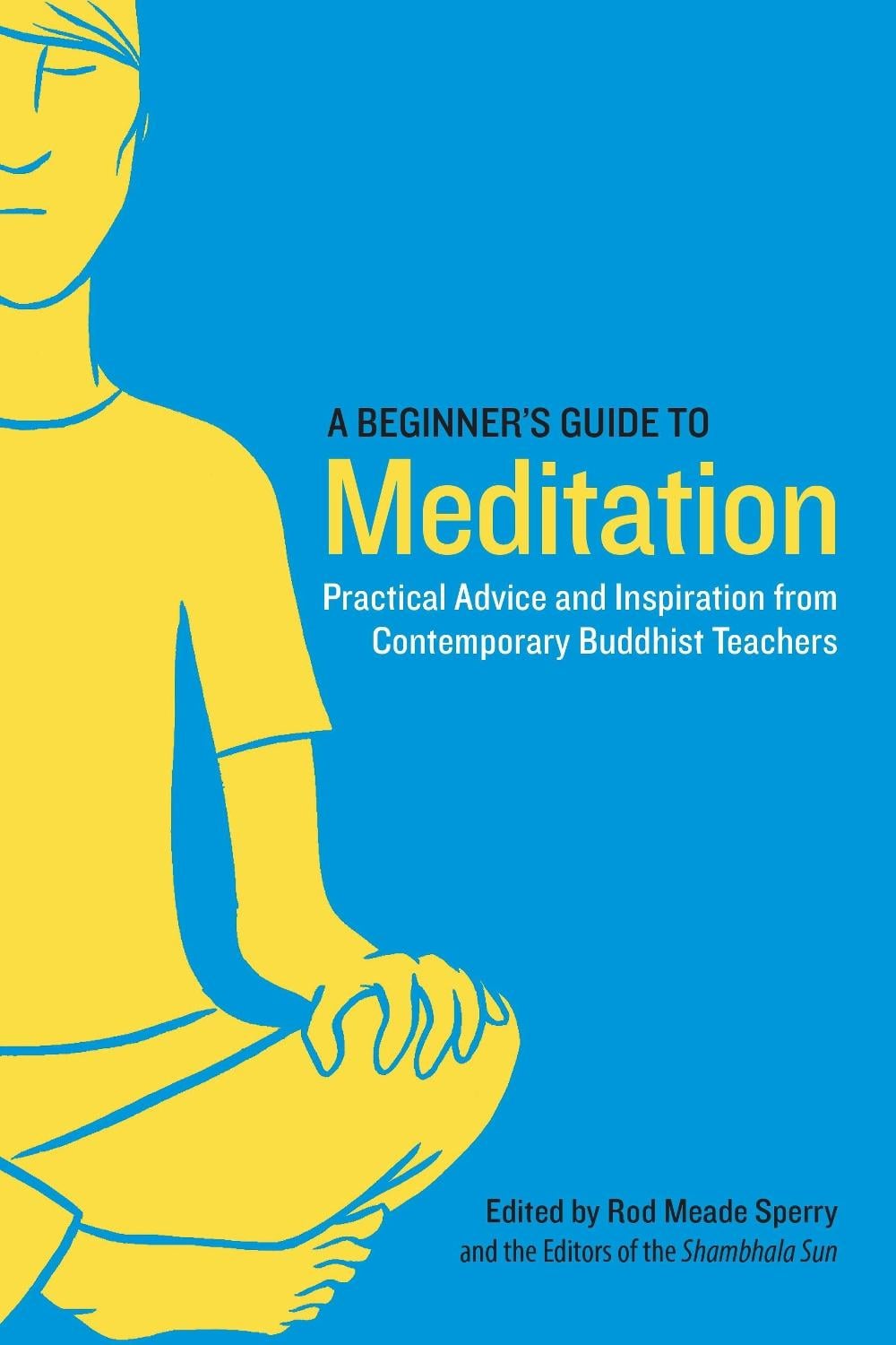 A Beginner's Guide to Meditation by Rod Meade Sperry - ISBN: 9781611800579