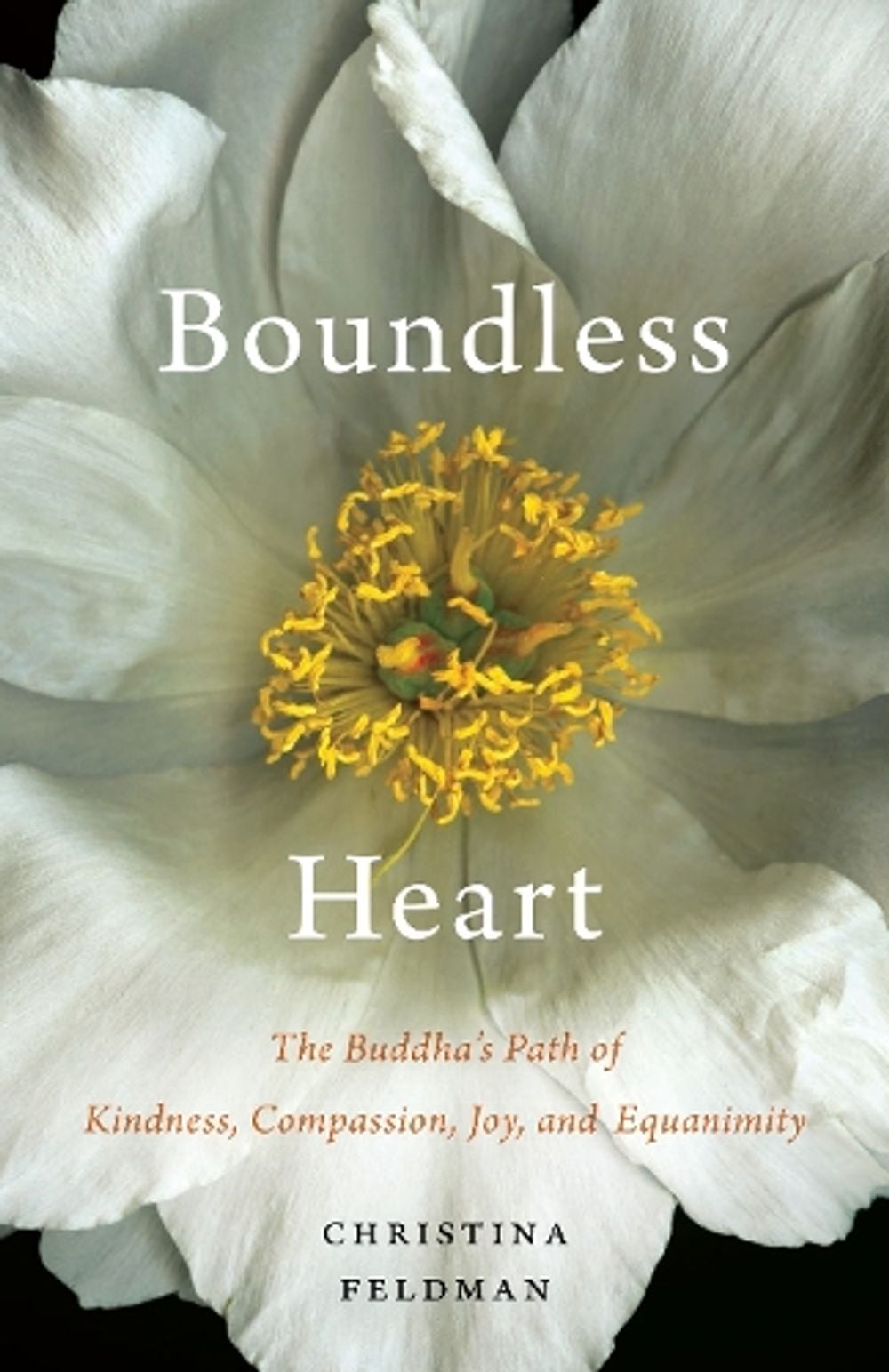 Boundless Heart by Christina Feldman - ISBN: 9781611803730