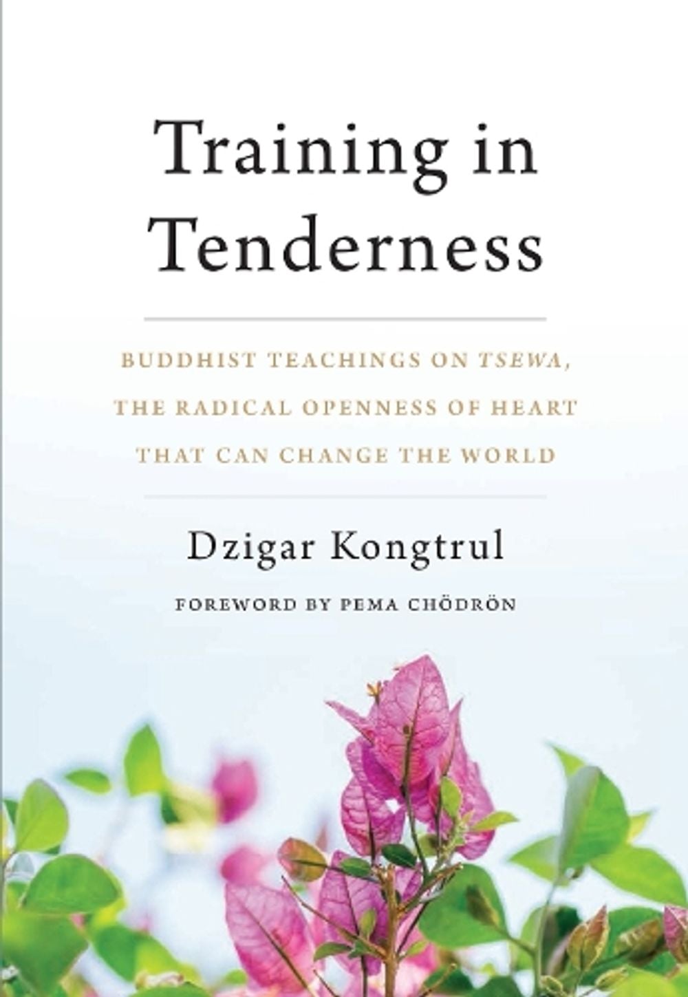 Training in Tenderness by Dzigar Kongtrul - ISBN: 9781611805581