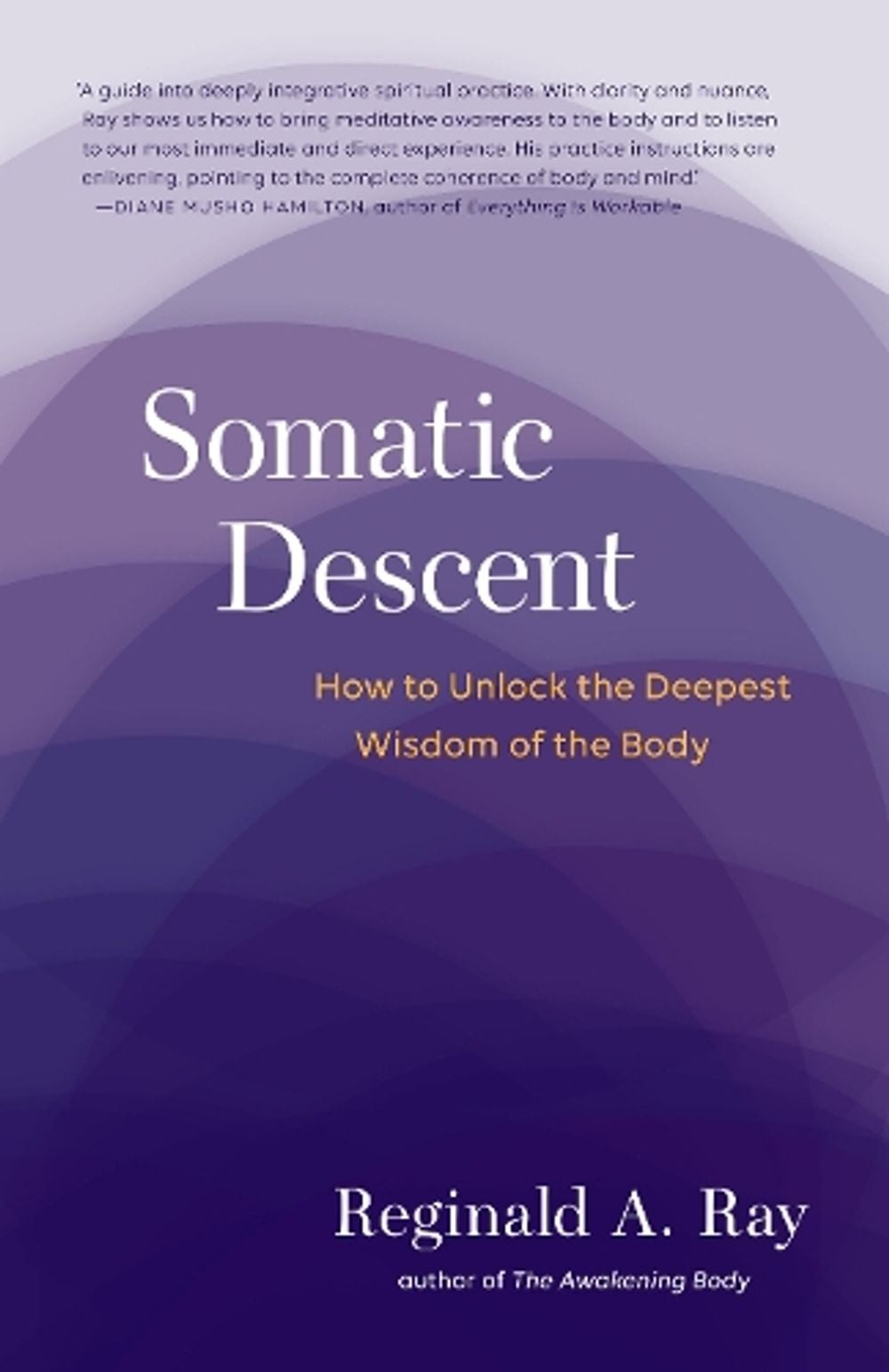 Somatic Descent by Reginald Ray - ISBN: 9781611805666