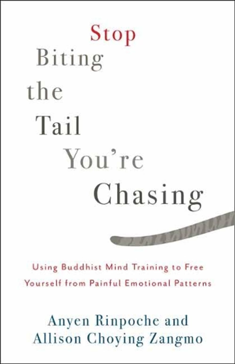 Stop Biting the Tail You're Chasing by Anyen Rinpoche - ISBN: 9781611805710
