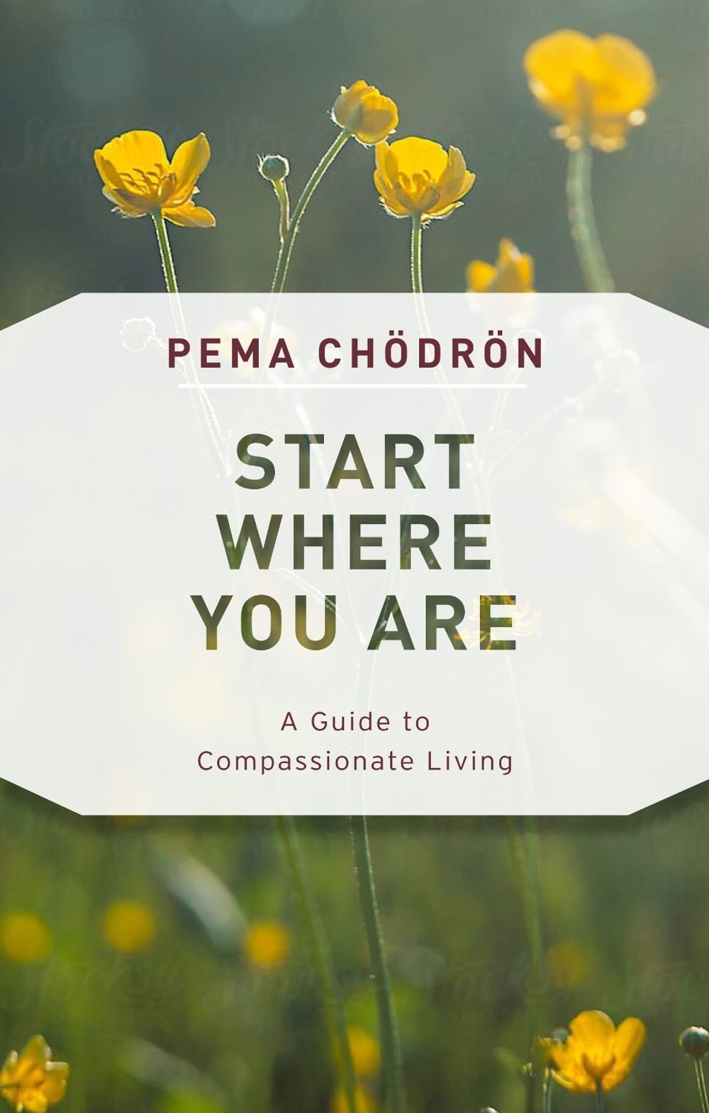 Start Where You Are by Pema Chodron - ISBN: 9781611805970