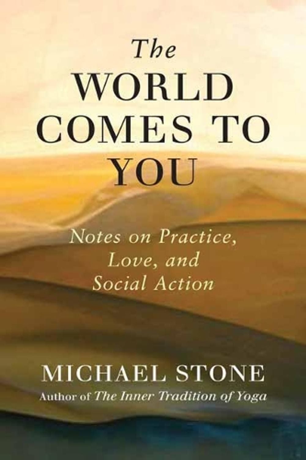 The World Comes to You by Michael Stone - ISBN: 9781611806113