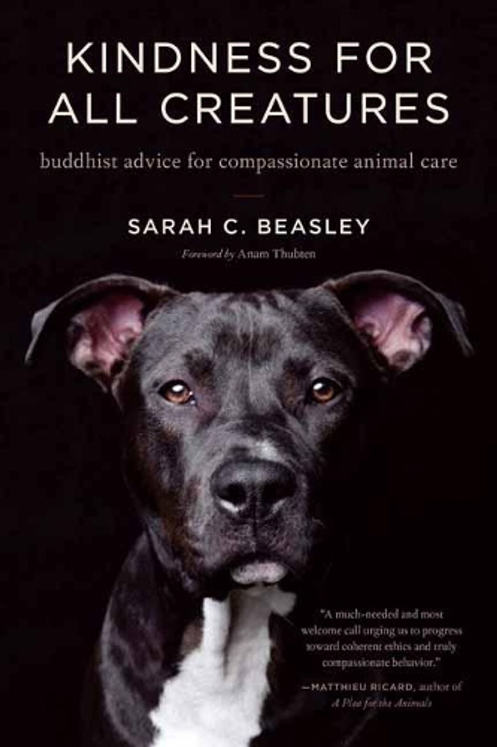 Kindness for All Creatures by Sarah C. Beasley - ISBN: 9781611806595