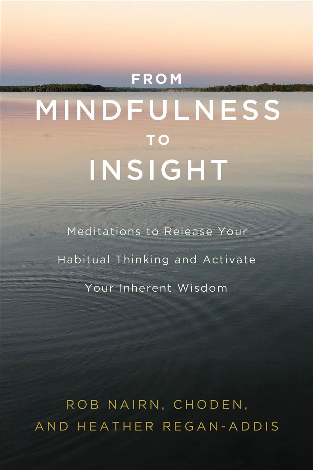 From Mindfulness to Insight by Rob Nairn - ISBN: 9781611806793