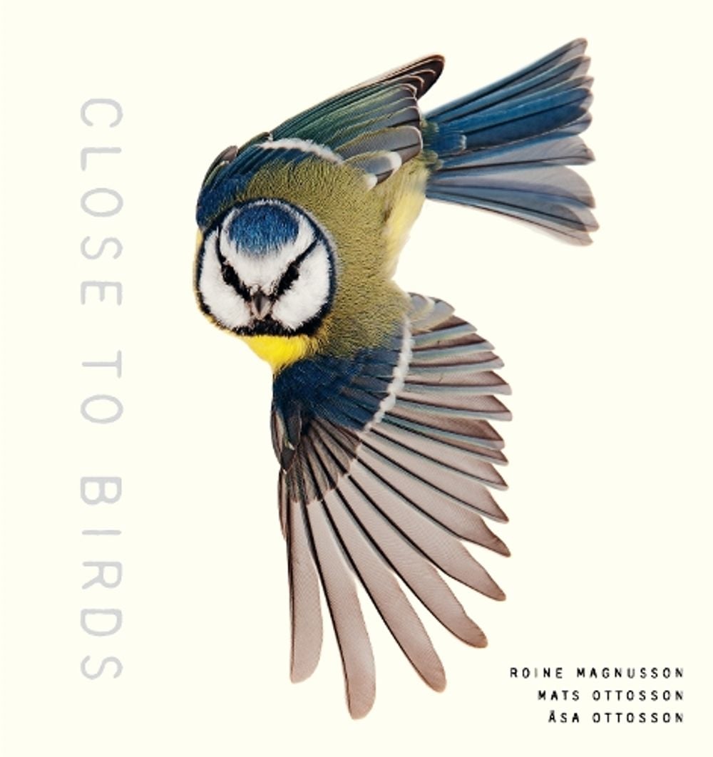 Close to Birds by Roine Magnusson - ISBN: 9781611807103