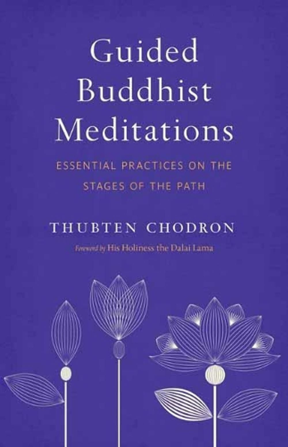 Guided Buddhist Meditations by Thubten Chodron - ISBN: 9781611807301
