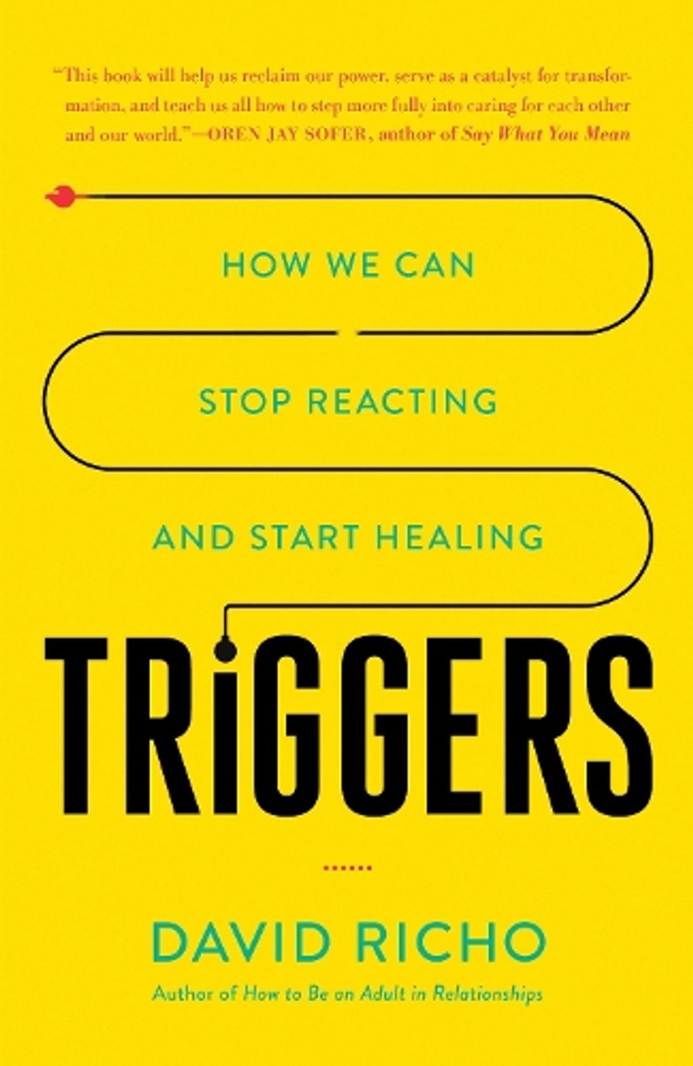 Triggers by David Richo - ISBN: 9781611807653