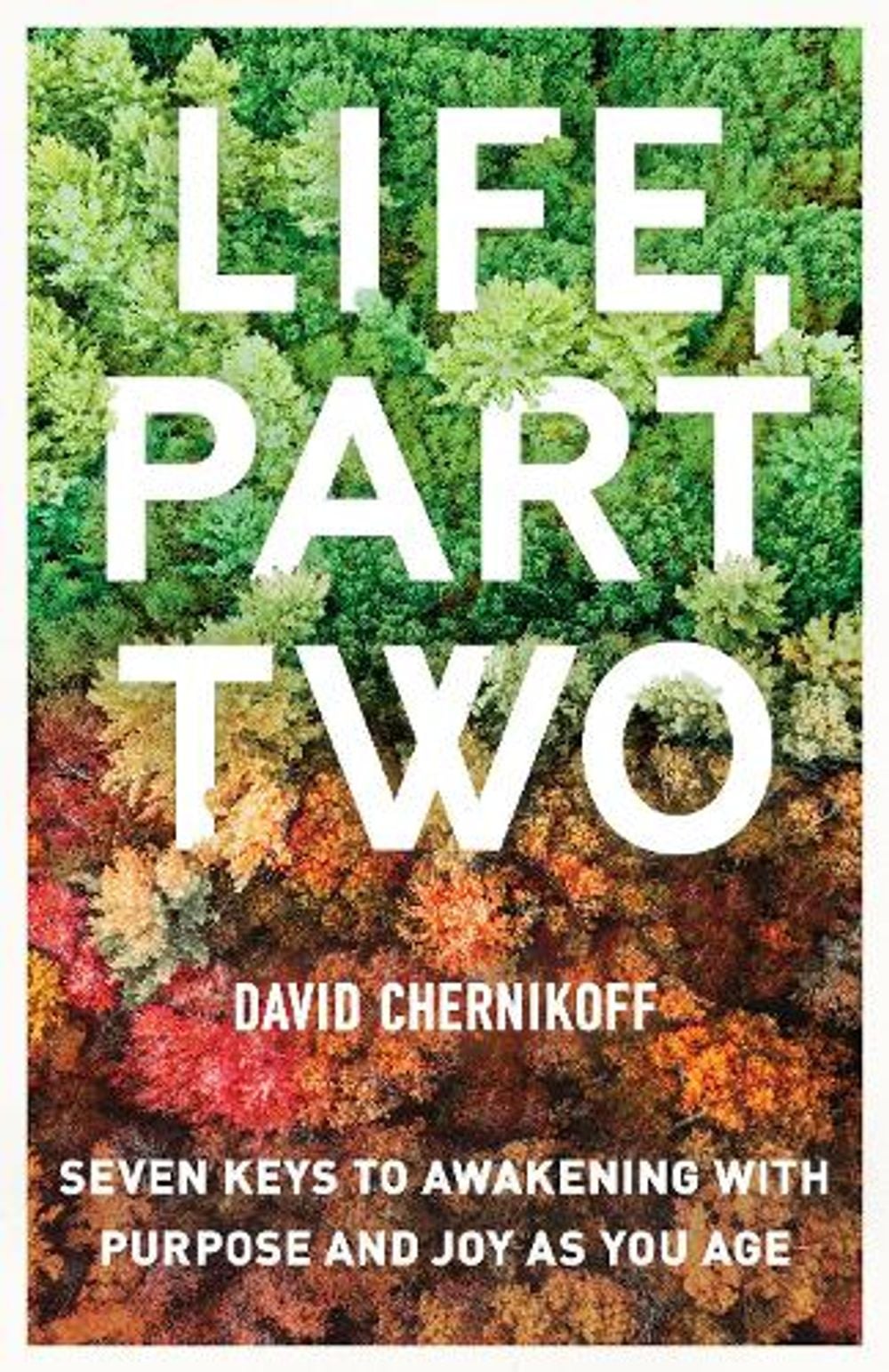 Life, Part Two by David Chernikoff - ISBN: 9781611808612