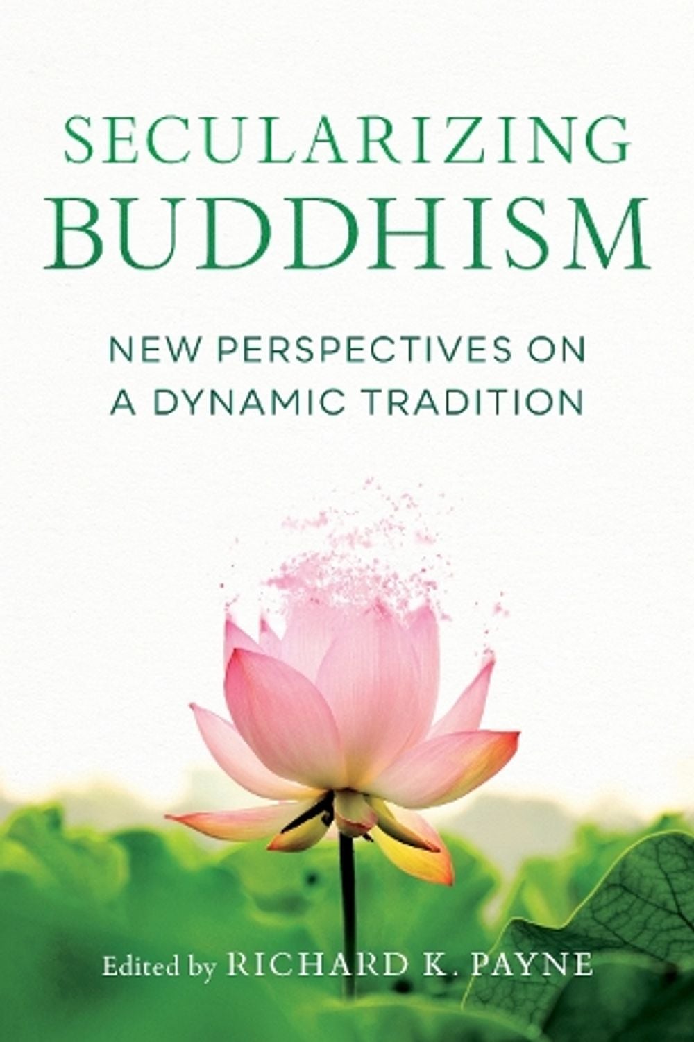 Secularizing Buddhism by Richard K. Payne - ISBN: 9781611808896