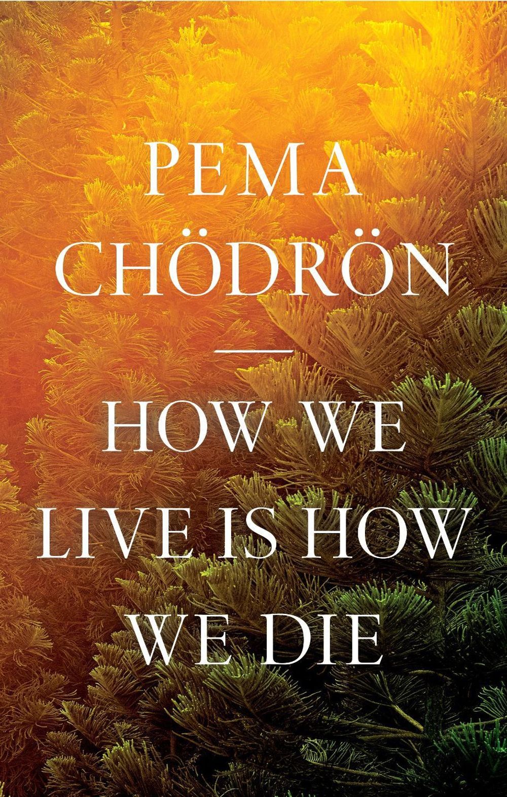How We Live Is How We Die by Pema Chödrön - ISBN: 9781611809244
