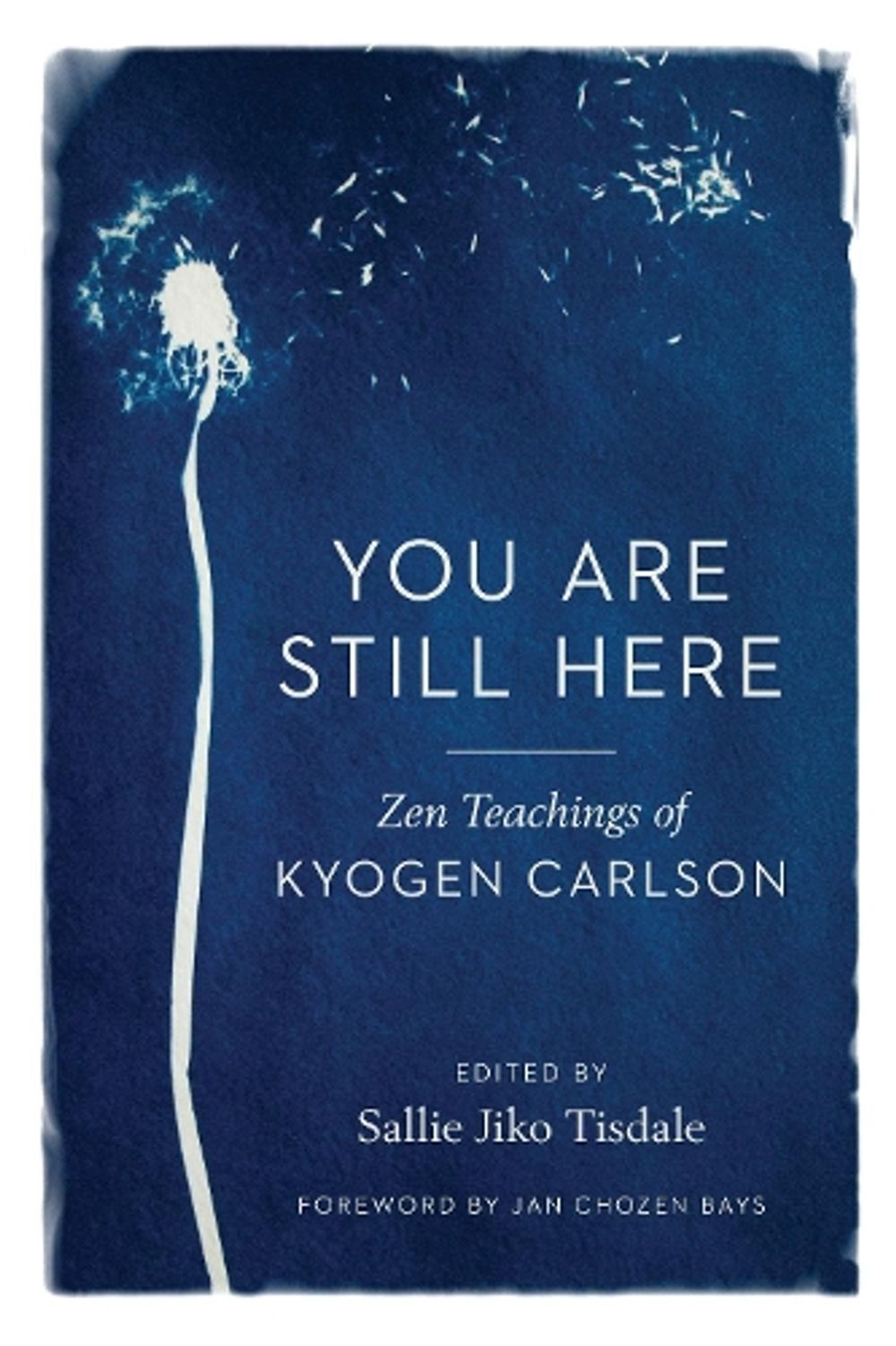 You Are Still Here by Kyogen Carlson - ISBN: 9781611809329
