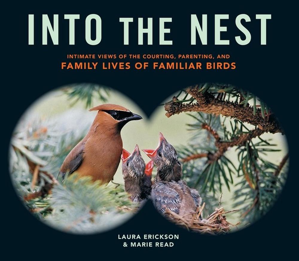 Into the Nest by Laura Erickson - ISBN: 9781612122298